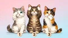 Psychologischer Test: Wähle ein Kätzchen und erfahre Verborgenes über dein Selbstwertgefühl