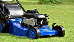 Warum man nach Regen oder Bewässerung nicht mähen sollte: 6 unerwünschte Folgen